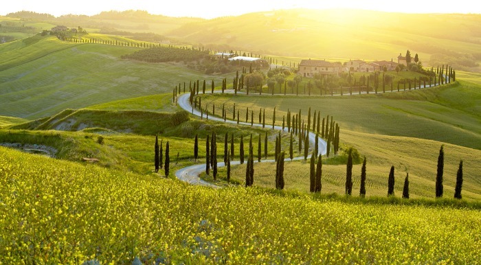 Vijugasta cesta vodi med borovci do s soncem obsijane hiše.