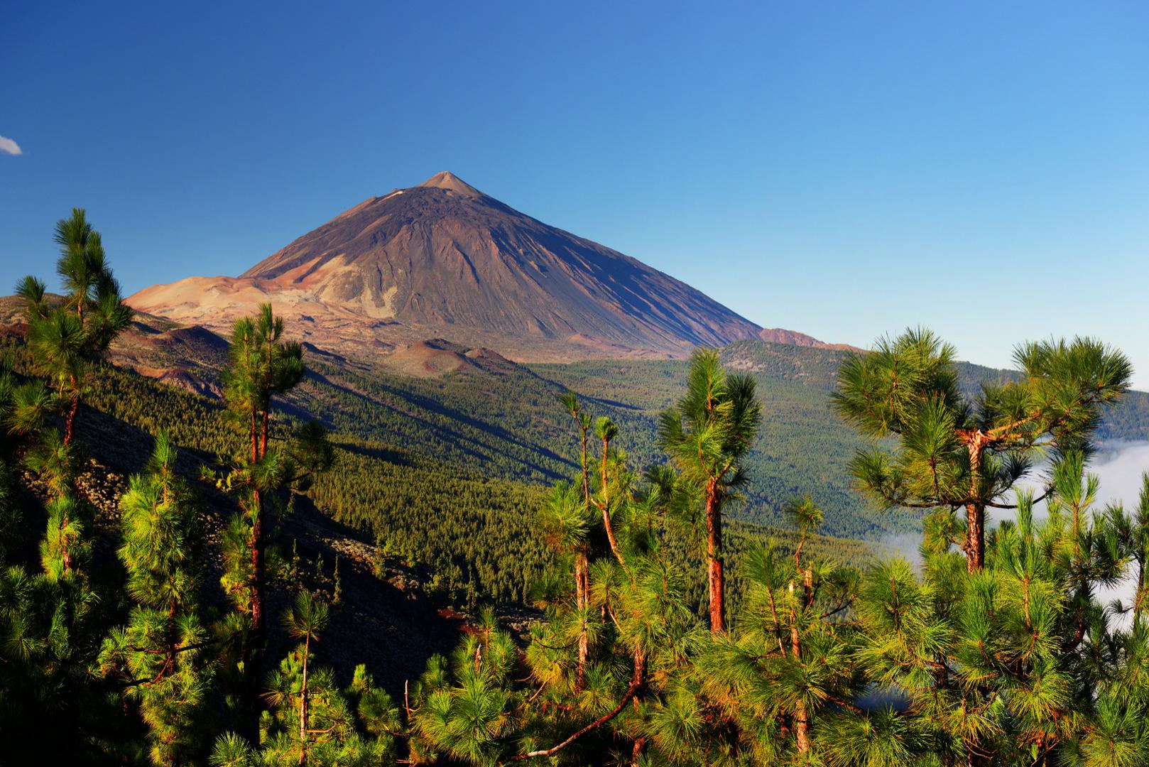 Vulkanska gora Pico del Teide, obdana z dramatično pokrajino in edinstveno floro.