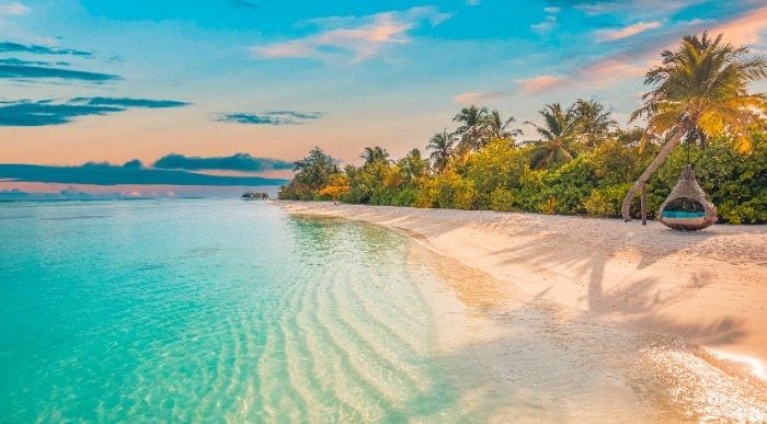 Valovita peščena plaža s palmami in kristalno čistim morjem ob obali Karibov
