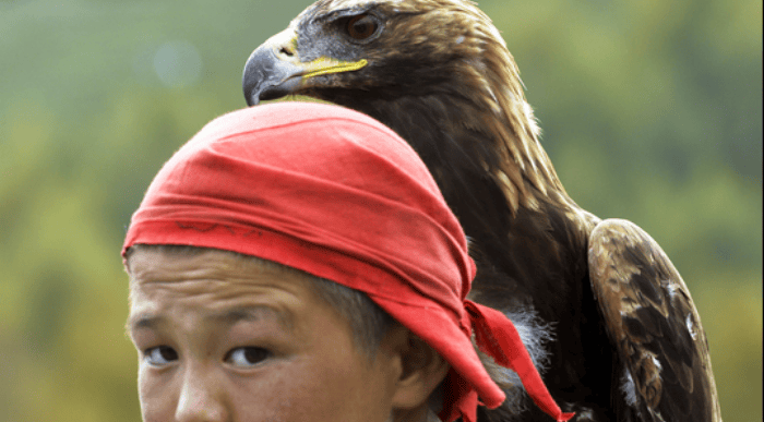 Orel na ramenih dečka.