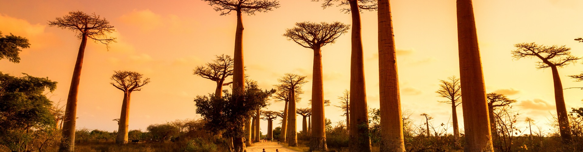 Doživeti Madagaskar in tropski Mavricij