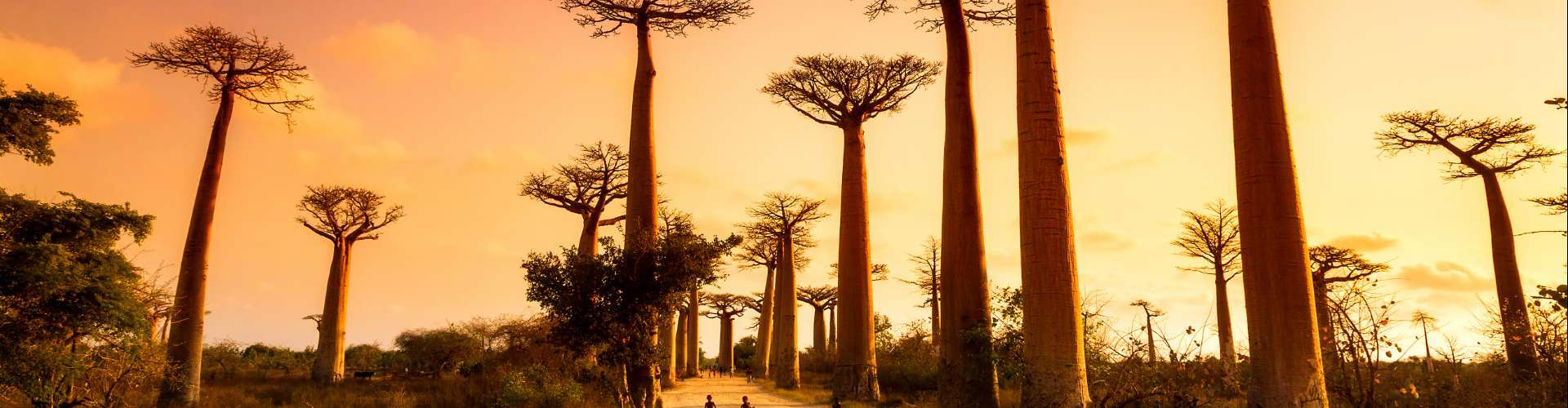 Madagaskar – V lemurjevi deželi