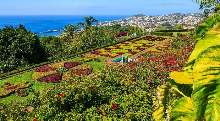 Madeira-botanicni vrt_152264465