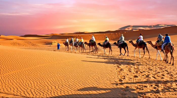 Maroko-kamele v puščavi