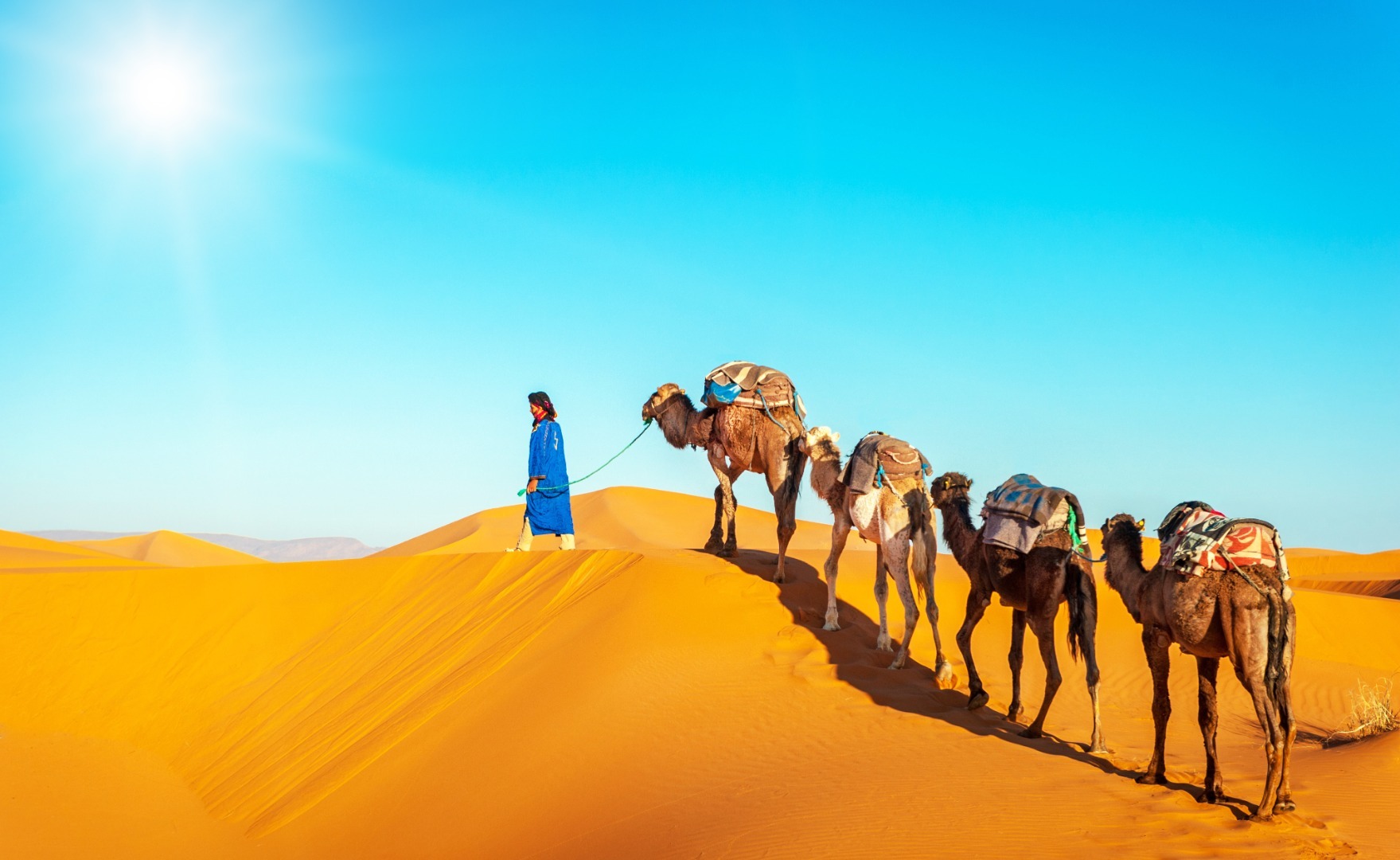 Sprehod s kamelami po maroških sipinah. 