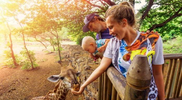 Mauritius-družina hrani žirafo