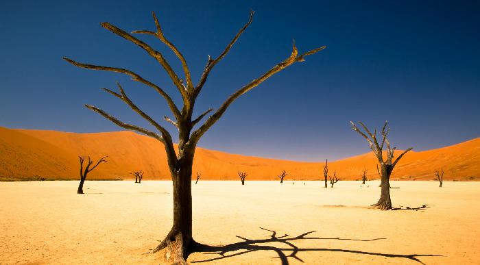 Namibija-puscava_256913848