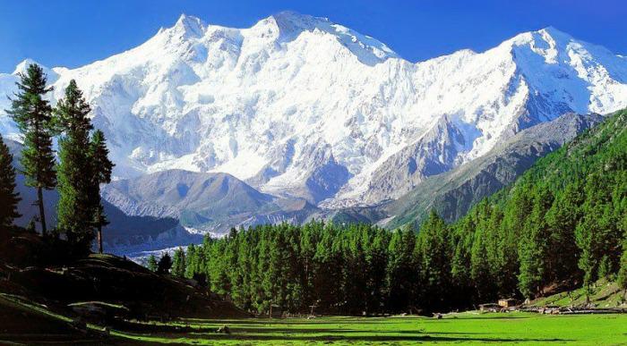 Gora Nanga Parbat v Pakistanu obdana z gozdovi in zelenimi travniki sodi med najlepše razglede Himalaje