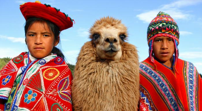 Dečka v tradicionalnih oblačilih v družbi alpake. 