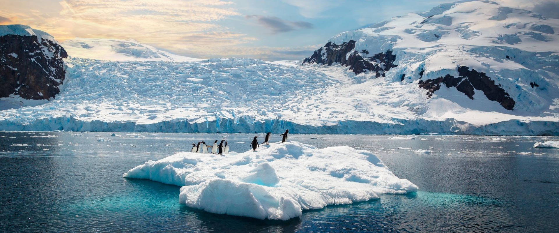Križarjenje po Južni Ameriki in Antarktiki – Ladja Oosterdam 5* – Holland America Line 18.12.2026 – 11.01.2027