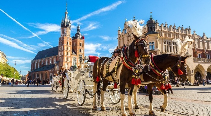 Kičasto okrašena konja s belo kočijo v mestu Krakow. 
