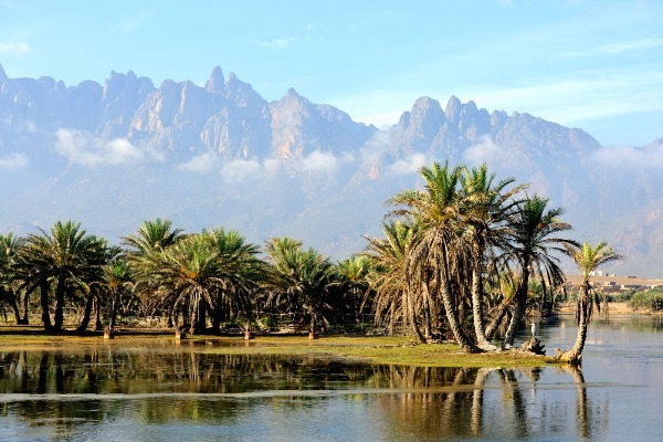 Oaza na jemenskem otoku Sokotra. 