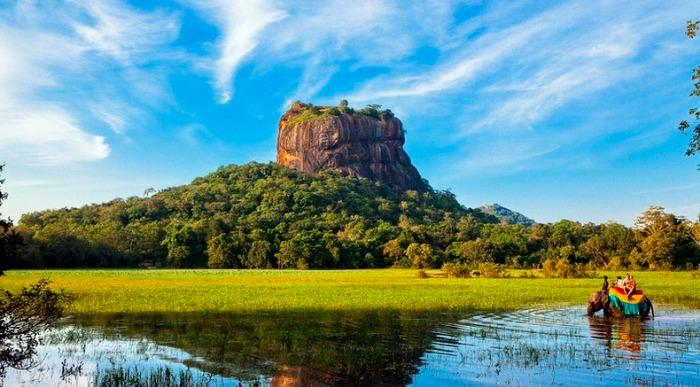 Ježa s sloni po divjini Šrilanke.