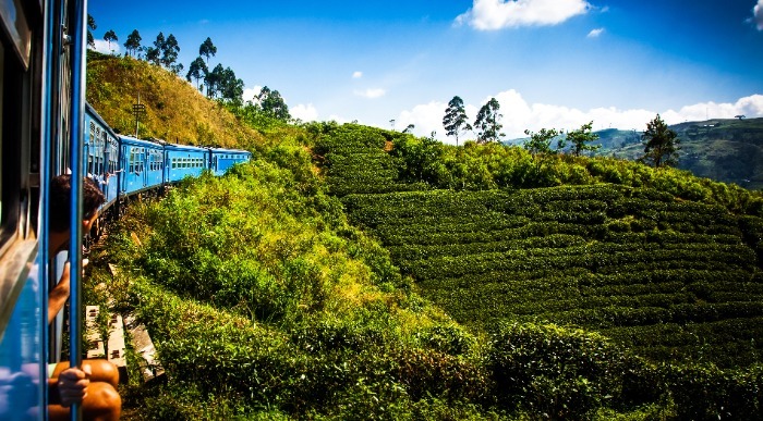 Šrilanka-vlak skozi čajne plantaže