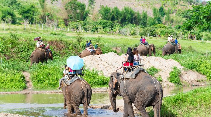 Tajska-chiang-mai_285695534