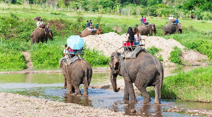 Tajska-chiang-mai_285695534