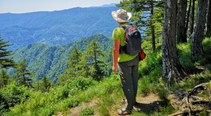 V deželi medveda junij 2020 (55)