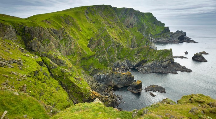 Divje in skalnate pečine so prekrite s temno zeleno barvo. 