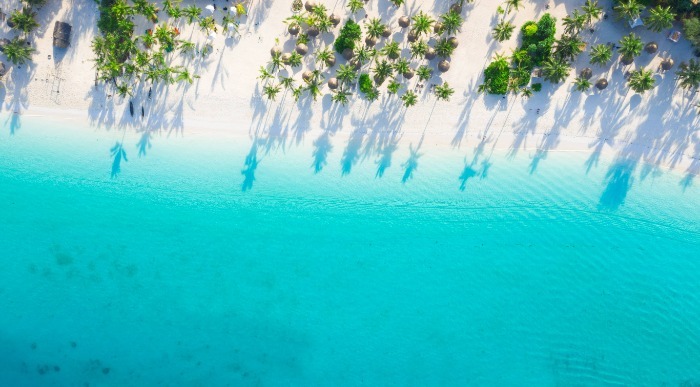 Zanzibar, plaža, sanjske počitnice, individualne