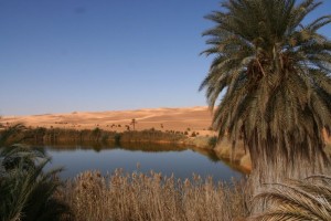 Puščavska Libijska pravljica