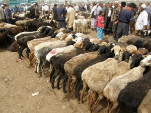 živinska tržnica v Kašgarju