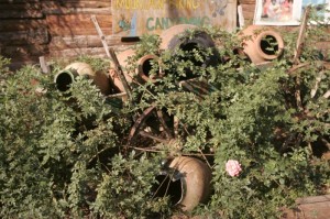 Čudovito urejen kaos