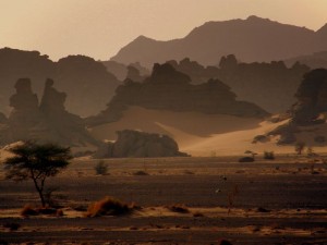 Puščavska pravljica