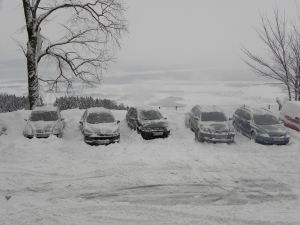 100131-Ambroz-GR 206