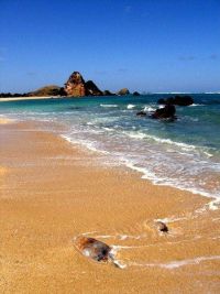 Od_Floresa_do_Balija4