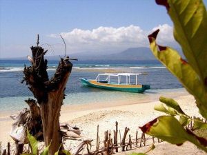 Od_Floresa_do_Balija6