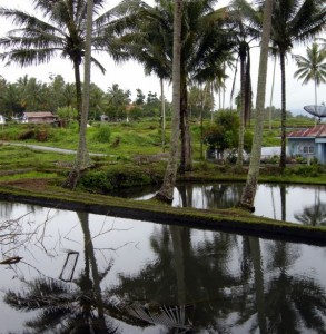 SUMATRA-prizor ob poti2