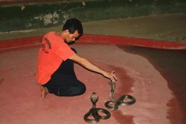 Tajska_13 Feb. 01 08.51