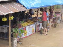 Tajska_15 Feb. 01 08.52