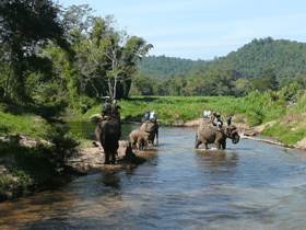 Tajska_19 Feb. 01 08.53