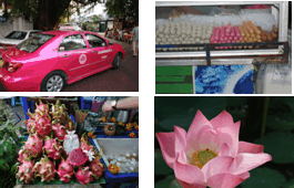 Tajska_33 Feb. 01 10.21