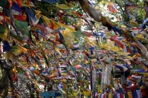 Iindija-Ladakh-molilne zastavice