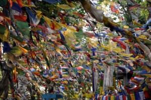 Iindija-Ladakh-molilne zastavice