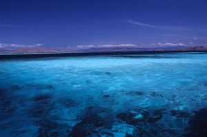 Foto- Vasja Matjasic