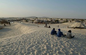 Festival_Au_Desert_4