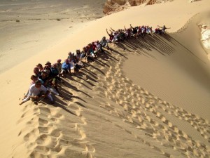 Zivalska farma na Sinaju 1