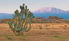 Kenija, Tanzanija, Zanzibar