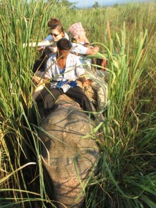 Slonji safari v nacionalnem parku Citvan - Nepal