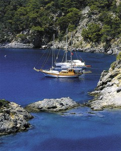 Turkizno morje in vojnj borovcev...