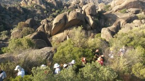 Z Marjanom Ogorevcem po Turčiji