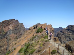 Madeira-Picos