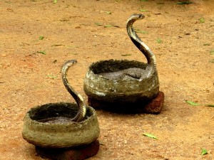 Strupene kobre za zmago duse nad telesom
