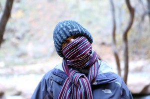 Zion - Novembrska jutra so še hladna