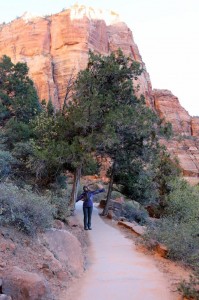 Vstop na Angels Landing