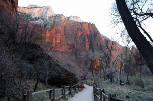 Zion-Prebujajoče jutro