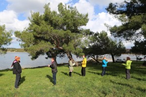 Oskarjeva vodniška šola